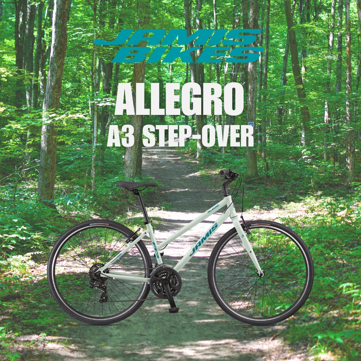 Bicicleta Allegro A3 Jamis Mujer