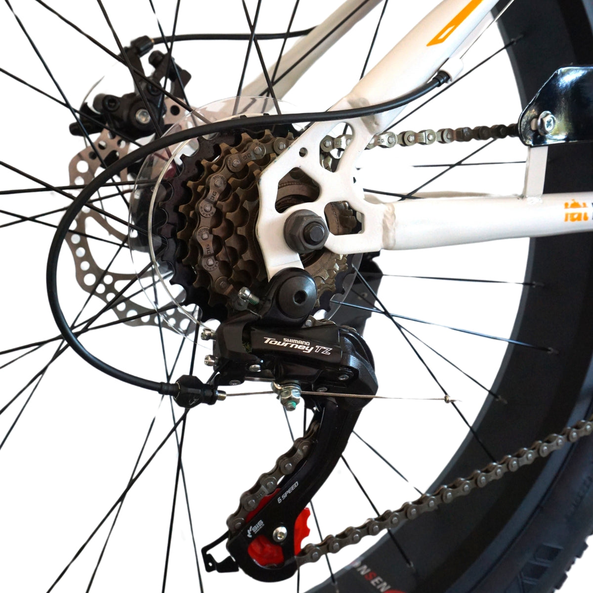 BICICLETA FAT RODADO 26 BRAVE BOY SBK