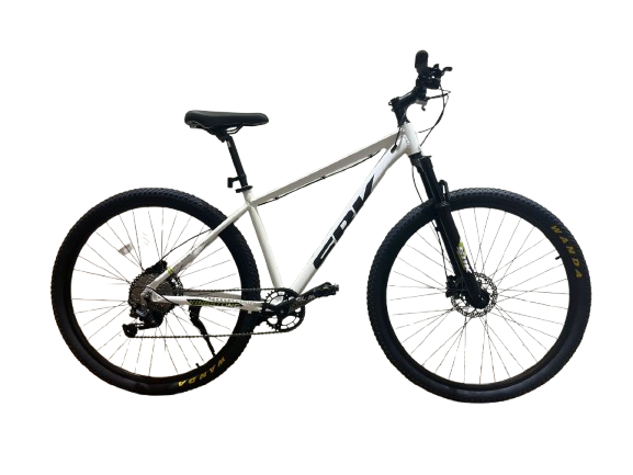 Bicicleta Rodado 29 Kingstone SBK 10 Vel