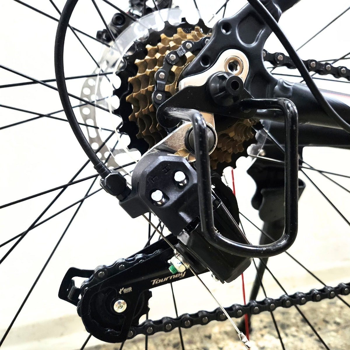 Protector de descarrilador trasero