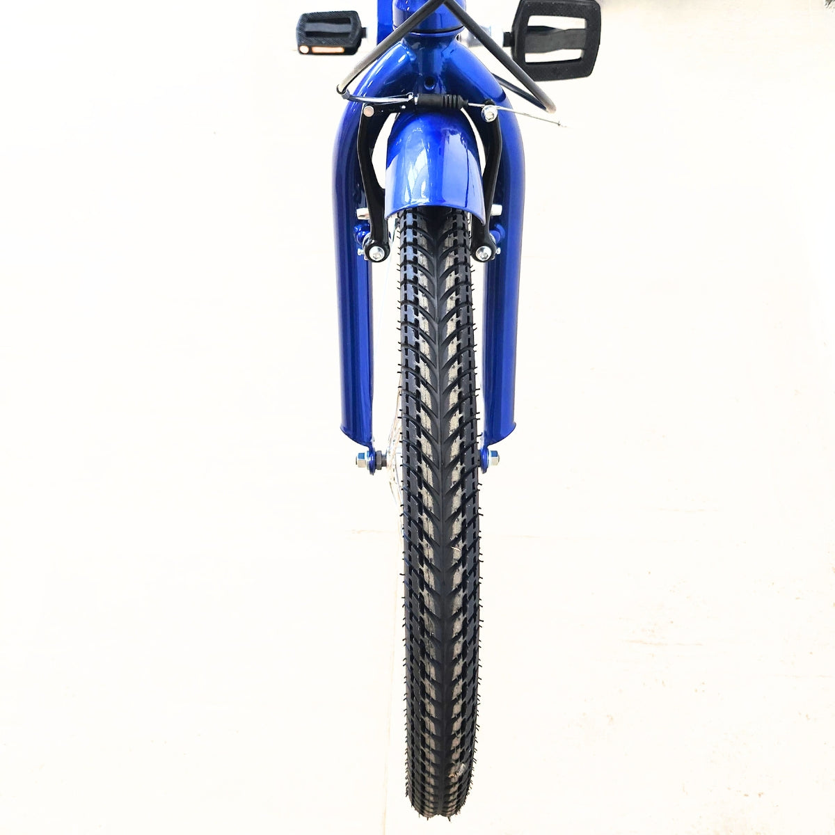 Triciclo Taxi Trike Jamis