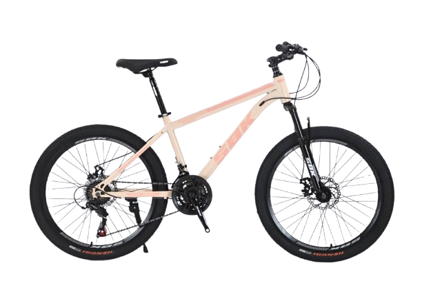 Bicicleta Mtb rodado 24 T-Rex SBK