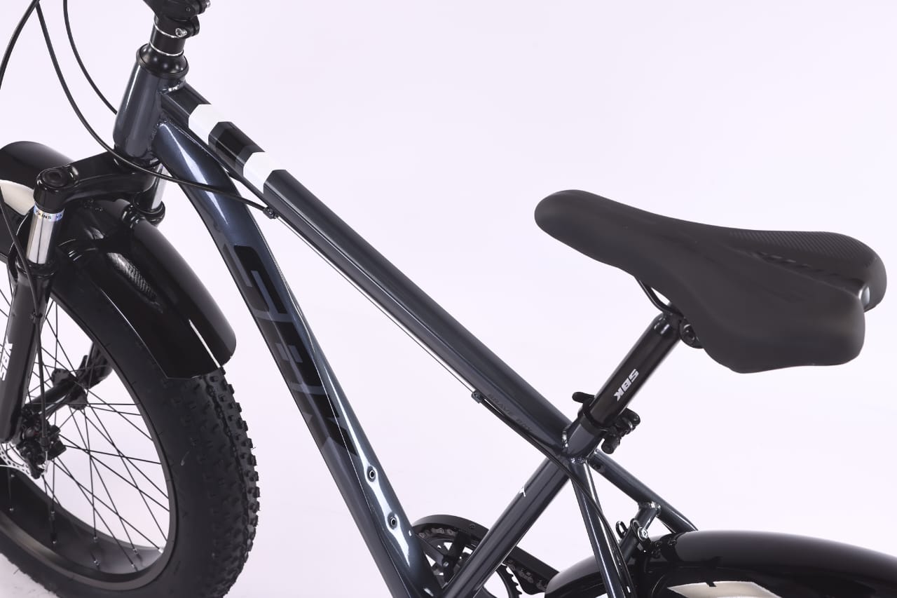 Bicicleta Fat Brave Boy rodado 26 SBK