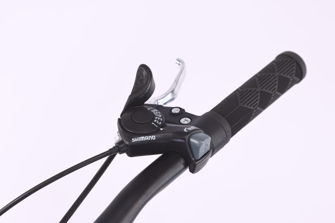 Bicicleta Fat Brave Boy rodado 26 SBK