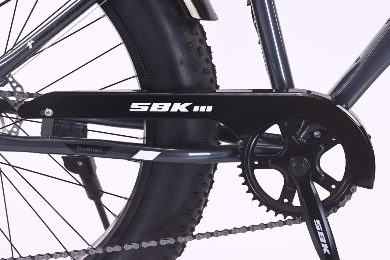 Bicicleta Fat Brave Boy rodado 26 SBK