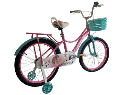 Bicicleta Infantil rodado 20