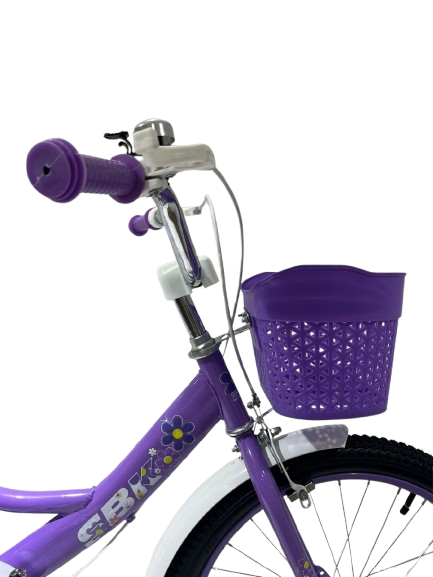 Bicicleta Infantil SBK Rodado 20 Nena