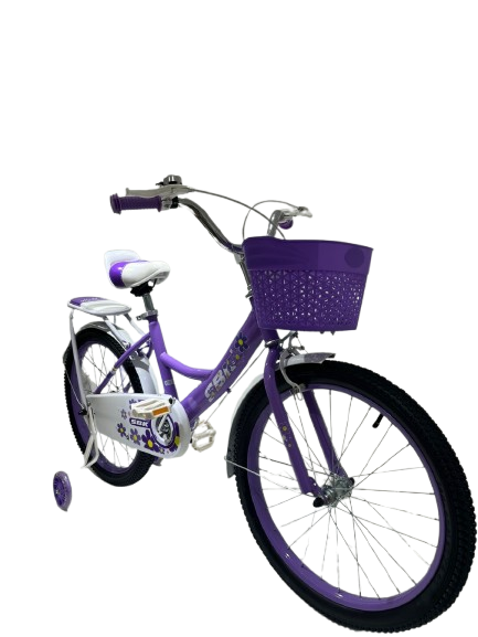 Bicicleta Infantil SBK Rodado 20 Nena
