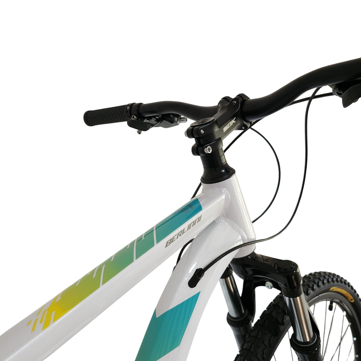 Bicicleta Rodado 29 Berlinni SBK
