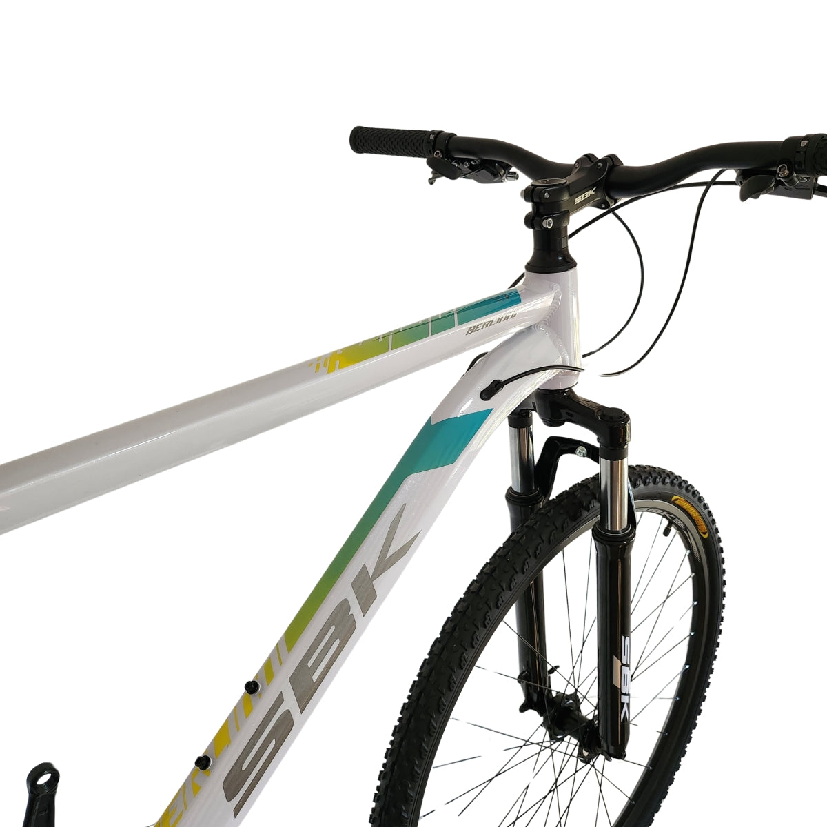 Bicicleta Rodado 29 Berlinni SBK