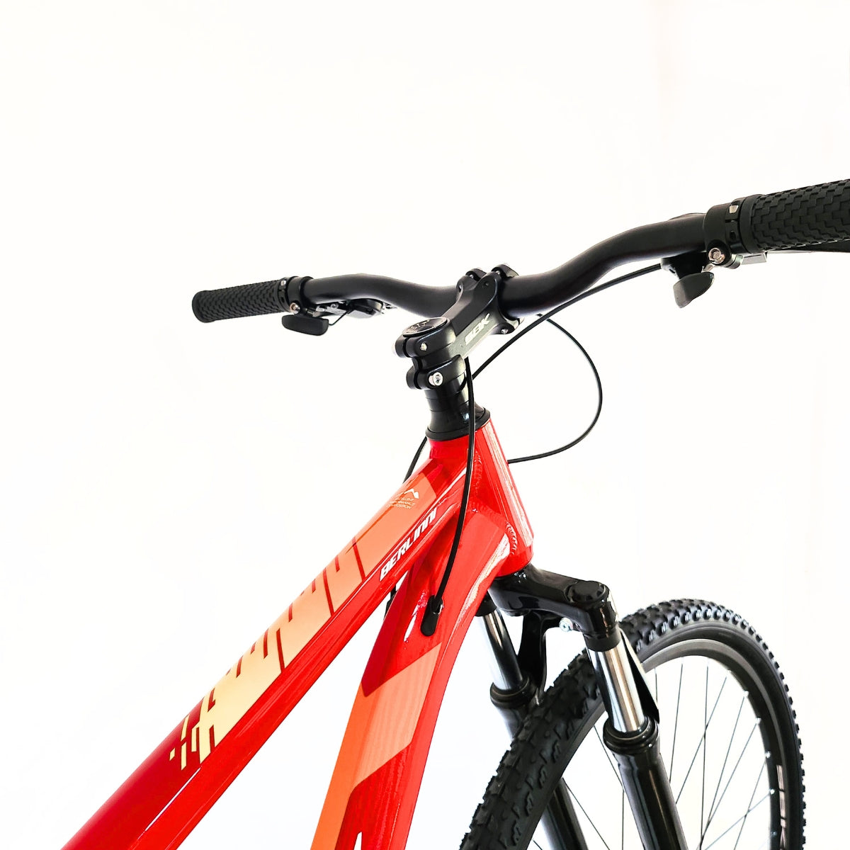 Bicicleta Rodado 29 Berlinni SBK