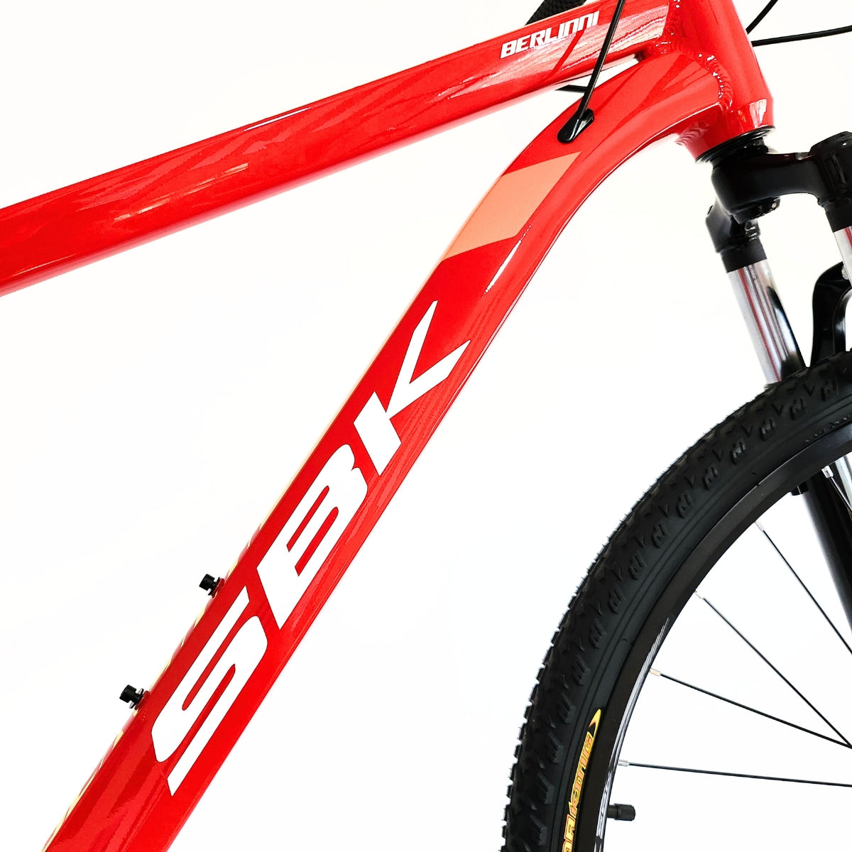 Bicicleta Rodado 29 Berlinni SBK