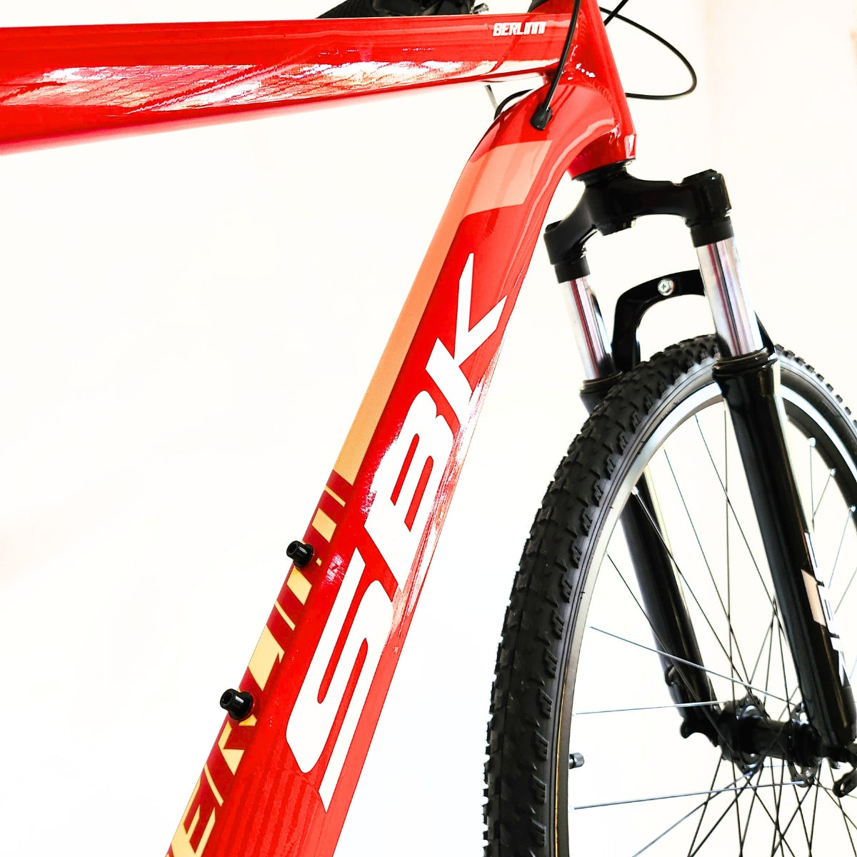 Bicicleta Rodado 29 Berlinni SBK