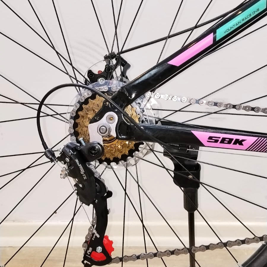 Bicicleta Mtb Rodado 29 Ultra 21 velocidades SBK