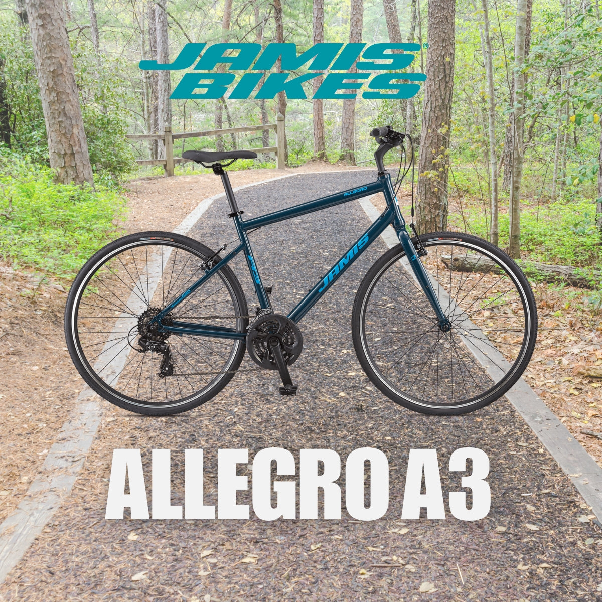 Bicicleta Allegro A3 Jamis