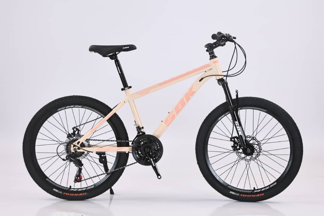 Bicicleta Mtb rodado 24 T-Rex SBK