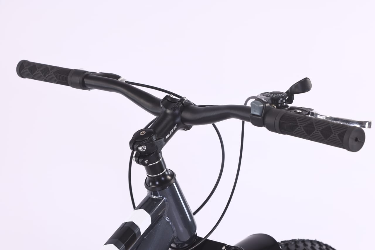 Bicicleta Fat Brave Boy rodado 26 SBK