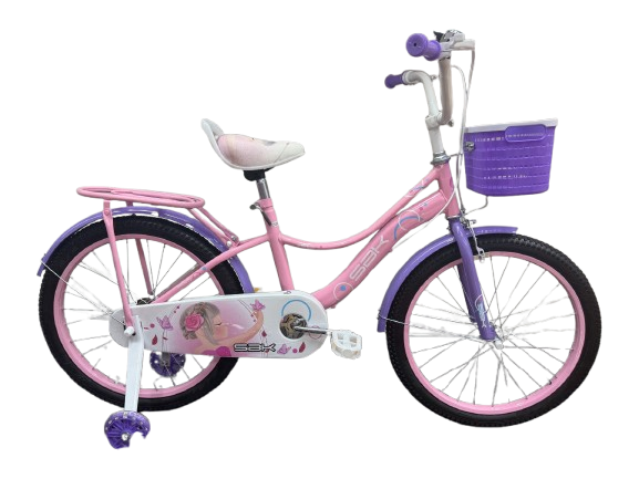Bicicleta Infantil rodado 20