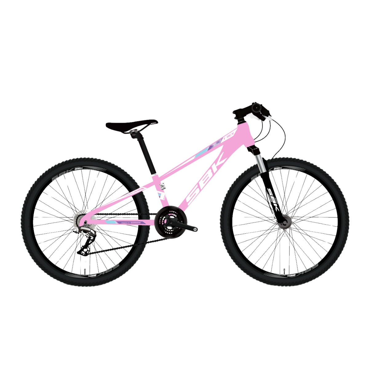 BICICLETA SBK RODADO 24 MTB